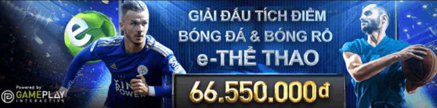giải đấu tích điểm bóng đá và bóng rổ