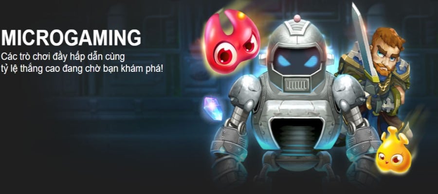 Microgaming Việt Nam